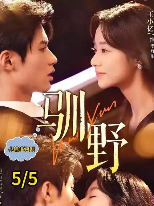 归途列车 剧集海报